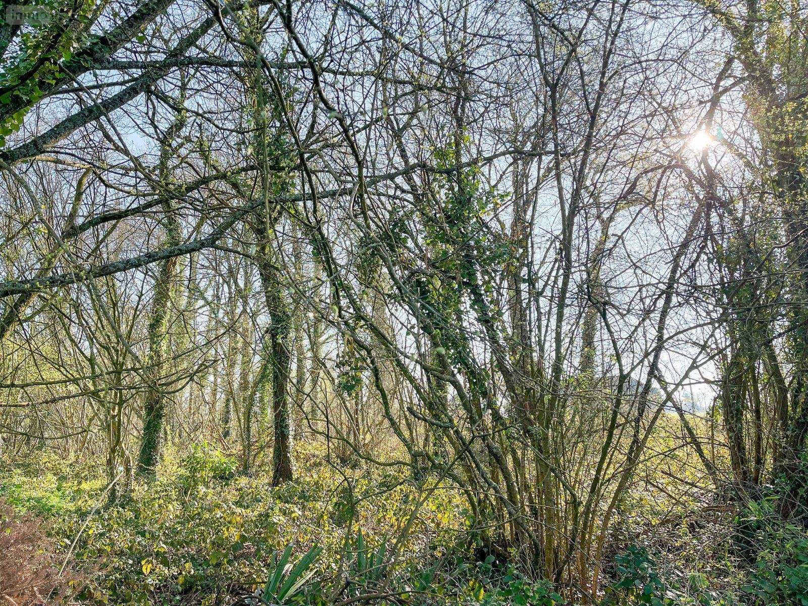 Terrains de loisirs bois etangs a vendre Hédé Bazouges 35630 Ille-et-Vilaine 1990 m2  8500 euros