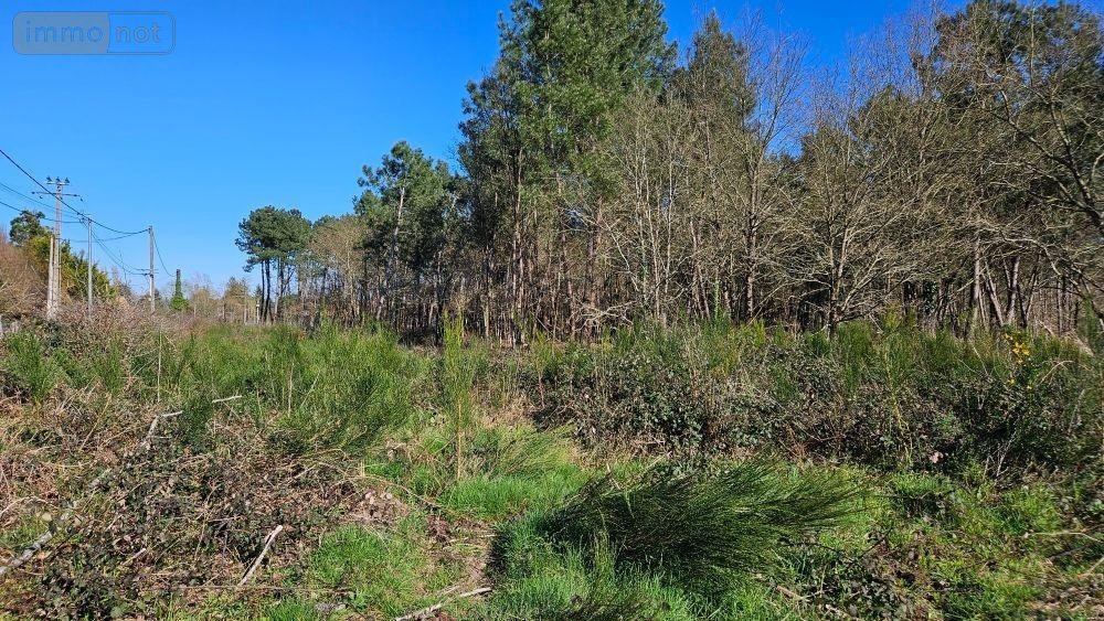 Terrains de loisirs bois etangs a vendre Guécélard 72230 Sarthe 21818 m2  16500 euros