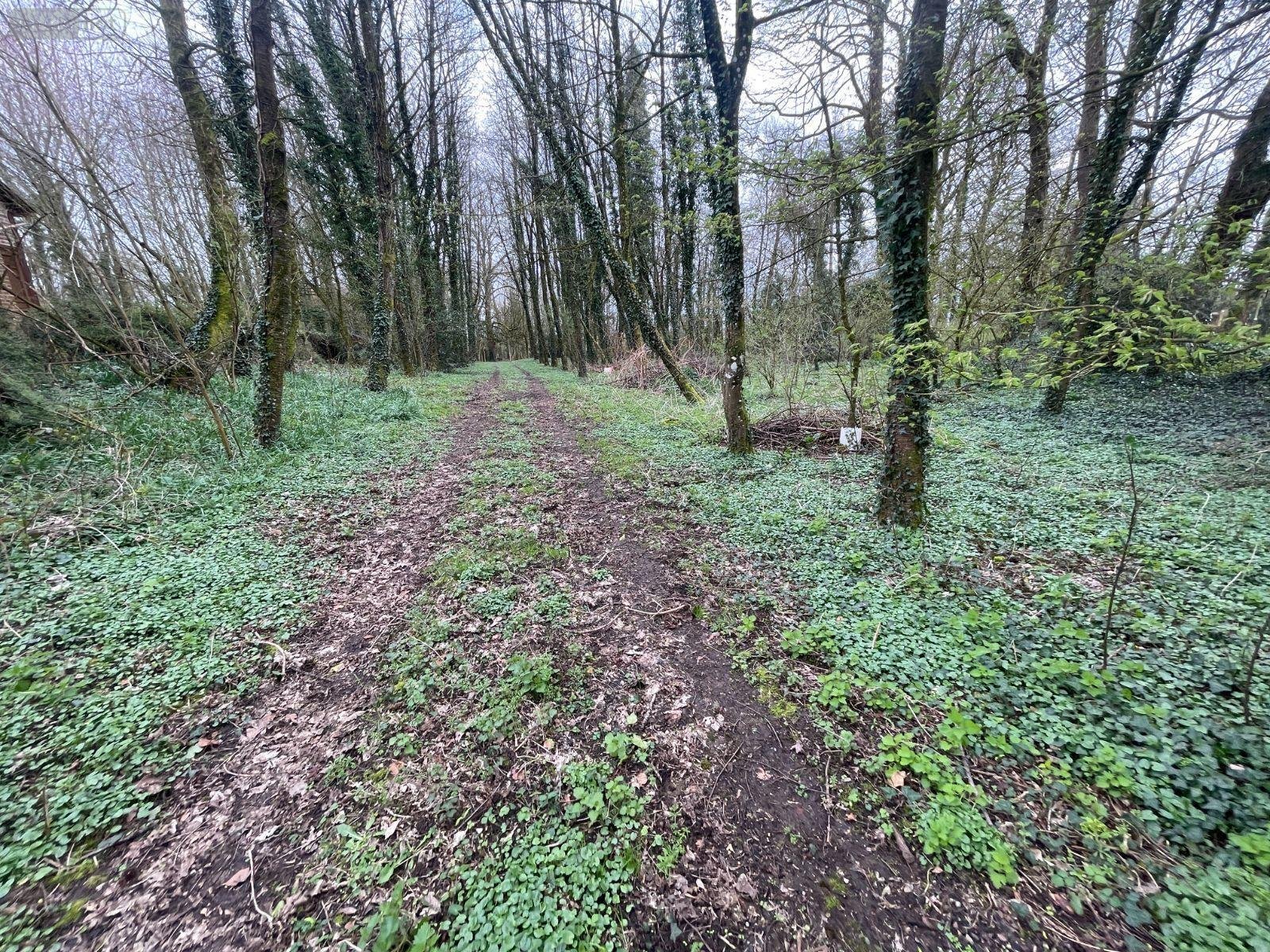 Terrain a batir a vendre Humières 62130 Pas-de-Calais 9593 m2  42880 euros