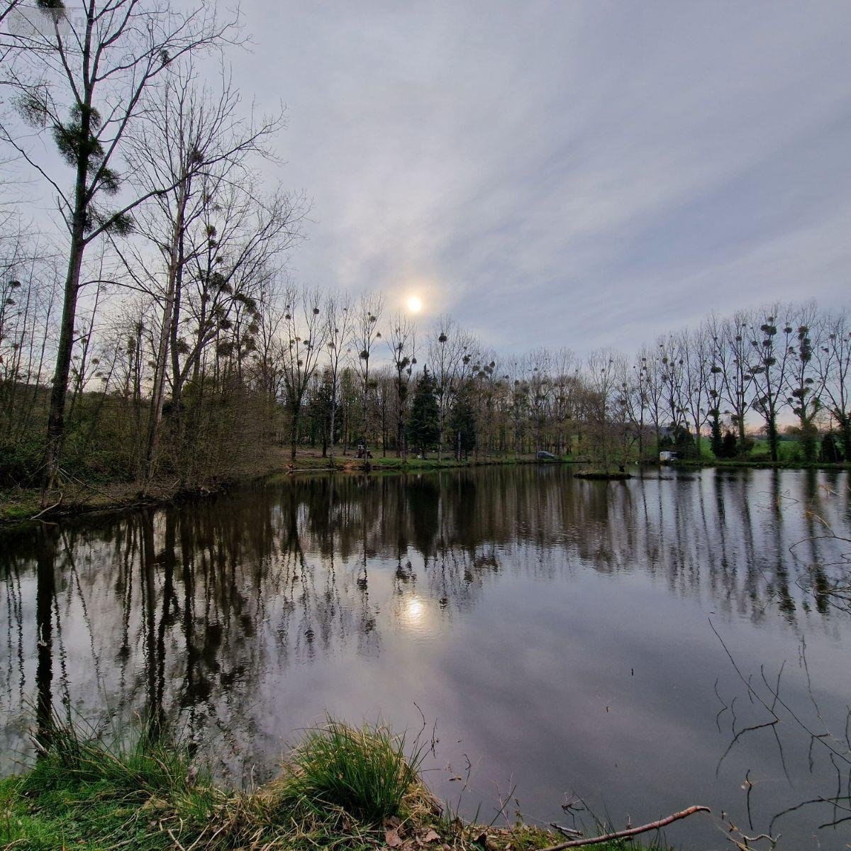 Terrains de loisirs bois etangs a vendre Pré-en-Pail-Saint-Samson 53140 Mayenne  106000 euros