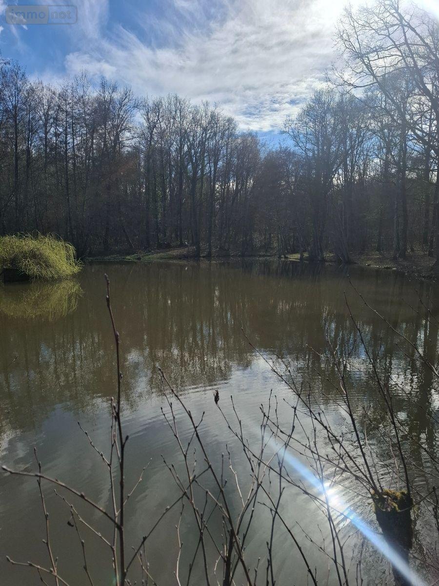 Terrains de loisirs bois etangs a vendre Humbligny 18250 Cher 57000 m2  55000 euros