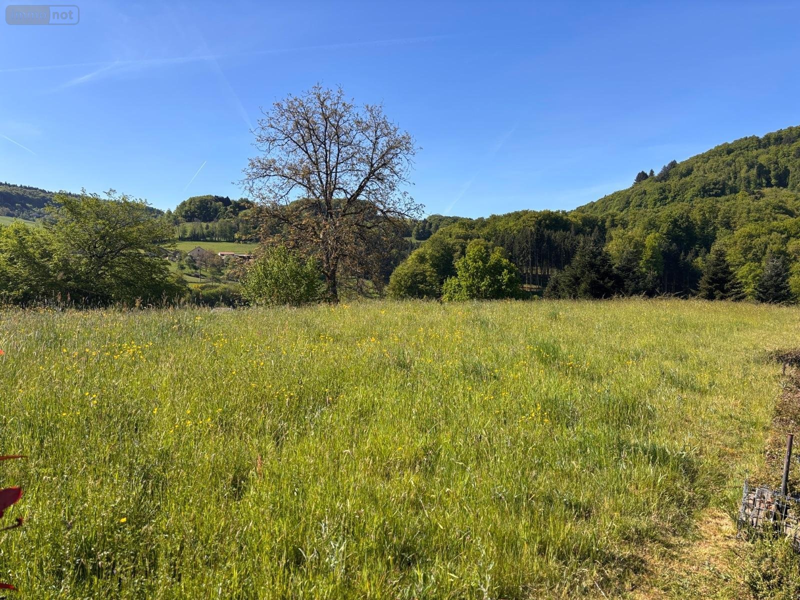 Terrain a batir a vendre Le Val-d'Ajol 88340 Vosges 813 m2  23600 euros