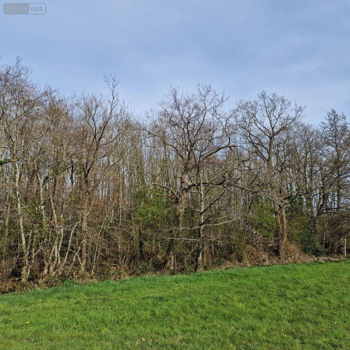 Terrains de loisirs bois etangs a vendre Pré-en-Pail-Saint-Samson 53140 Mayenne 12460 m2  21000 euros