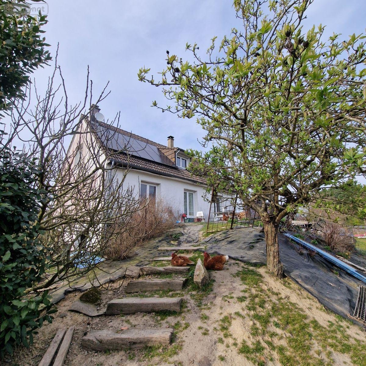 Maison a vendre Pré-en-Pail-Saint-Samson 53140 Mayenne 71 m2  132500 euros