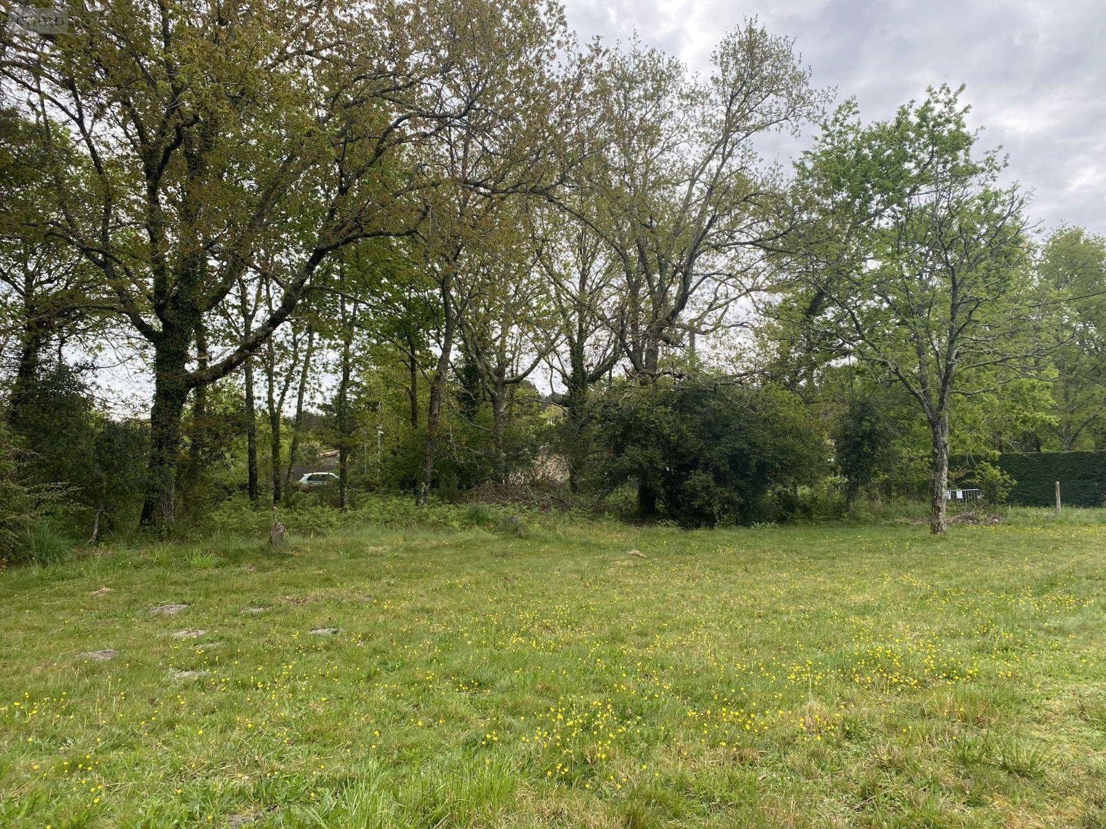 Maison a vendre Carcans 33121 Gironde 90 m2 4 pièces 272000 euros