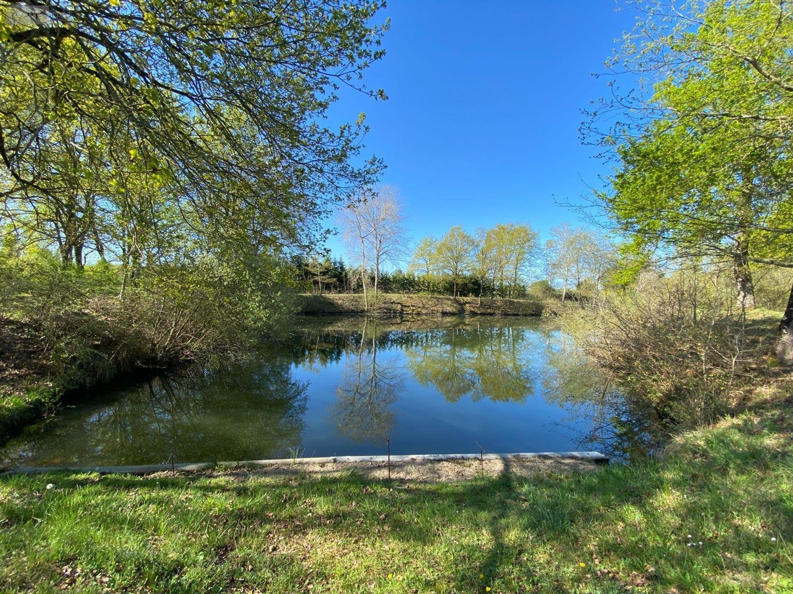 Terrains de loisirs bois etangs a vendre Saint-Genou 36500 Indre 7002 m2  22200 euros