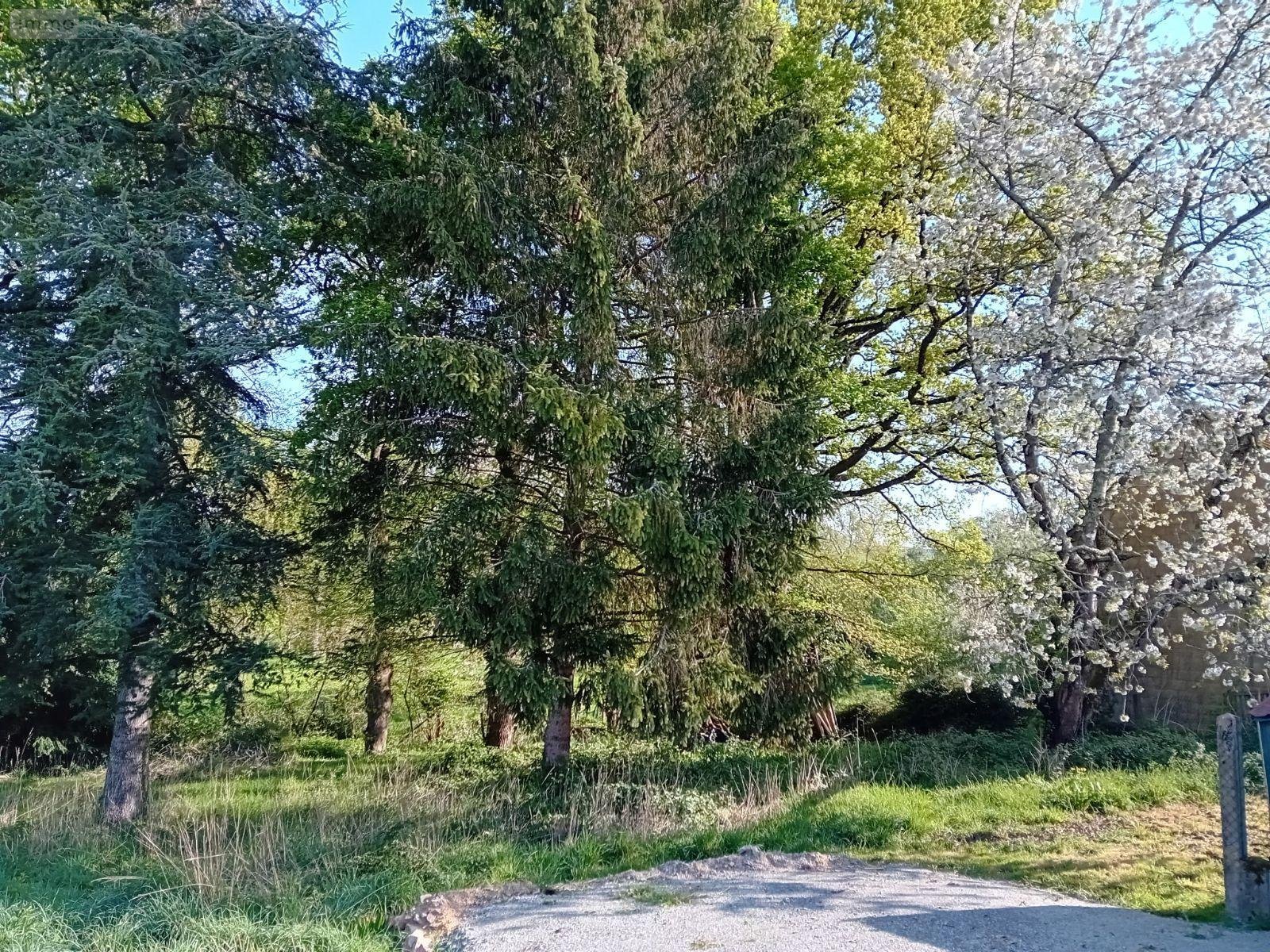 Terrain a batir a vendre Cournon 56200 Morbihan 688 m2  20000 euros