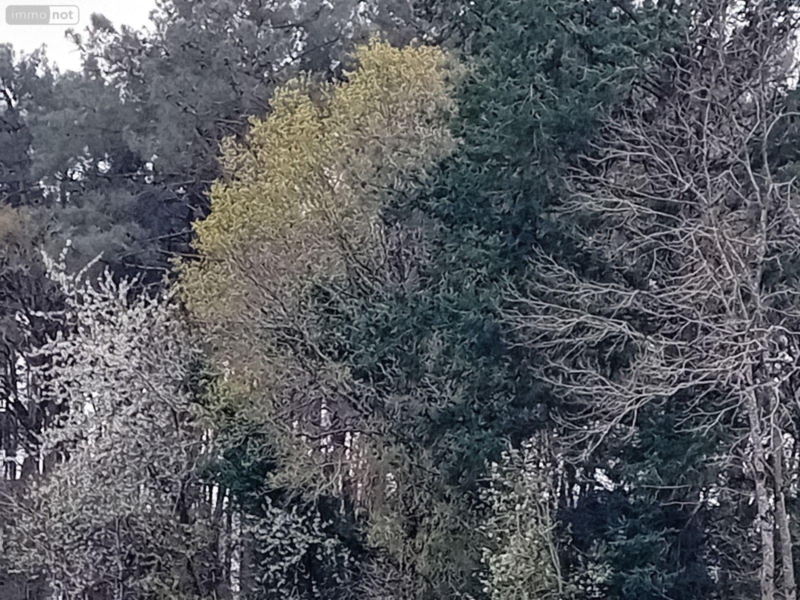 Terrains de loisirs bois etangs a vendre Cournon 56200 Morbihan 19961 m2  30000 euros