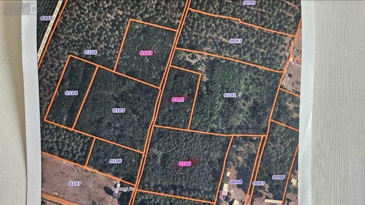 Terrains de loisirs bois etangs a vendre Parigné-le-Pôlin 72330 Sarthe 17750 m2  9500 euros