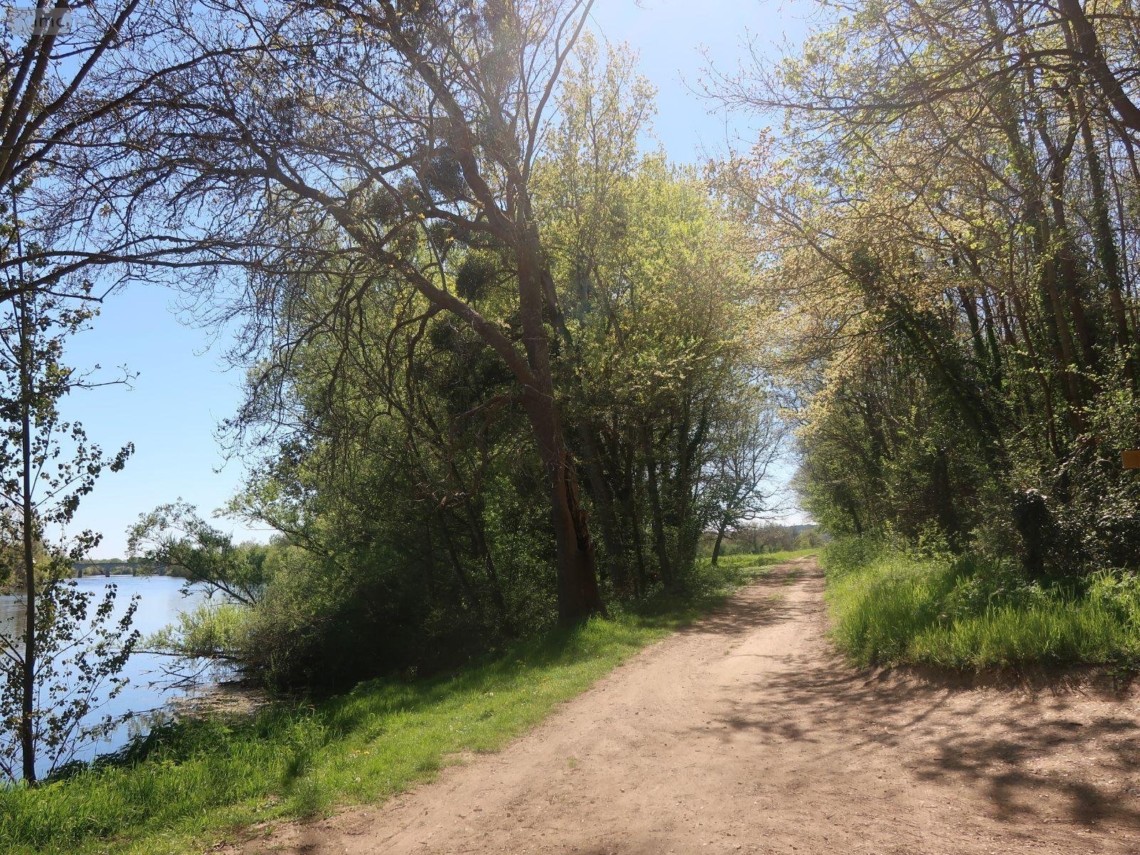 Terrains de loisirs bois etangs a vendre Vouneuil-sur-Vienne 86210 Vienne 6770 m2  9000 euros