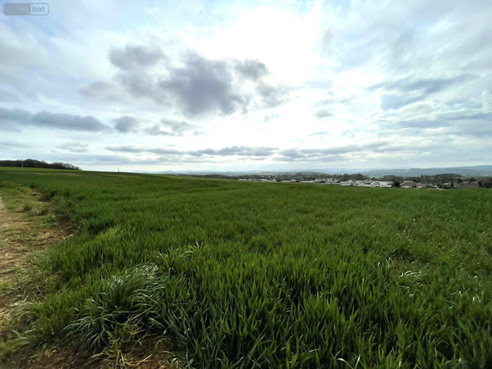 Terrain a batir a vendre Saint-Vit 25410 Doubs 730 m2  91000 euros