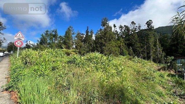 Terrain a batir a vendre La Plaine-des-Palmistes 97431 Réunion 1777 m2  190000 euros