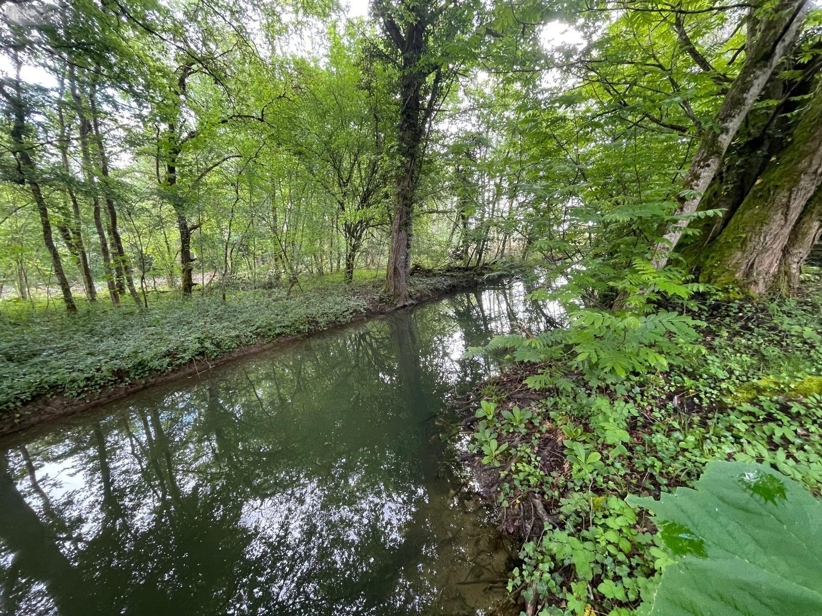 Terrains de loisirs bois etangs a vendre Villedieu 21330 Côte-d'Or 1246 m2  13600 euros