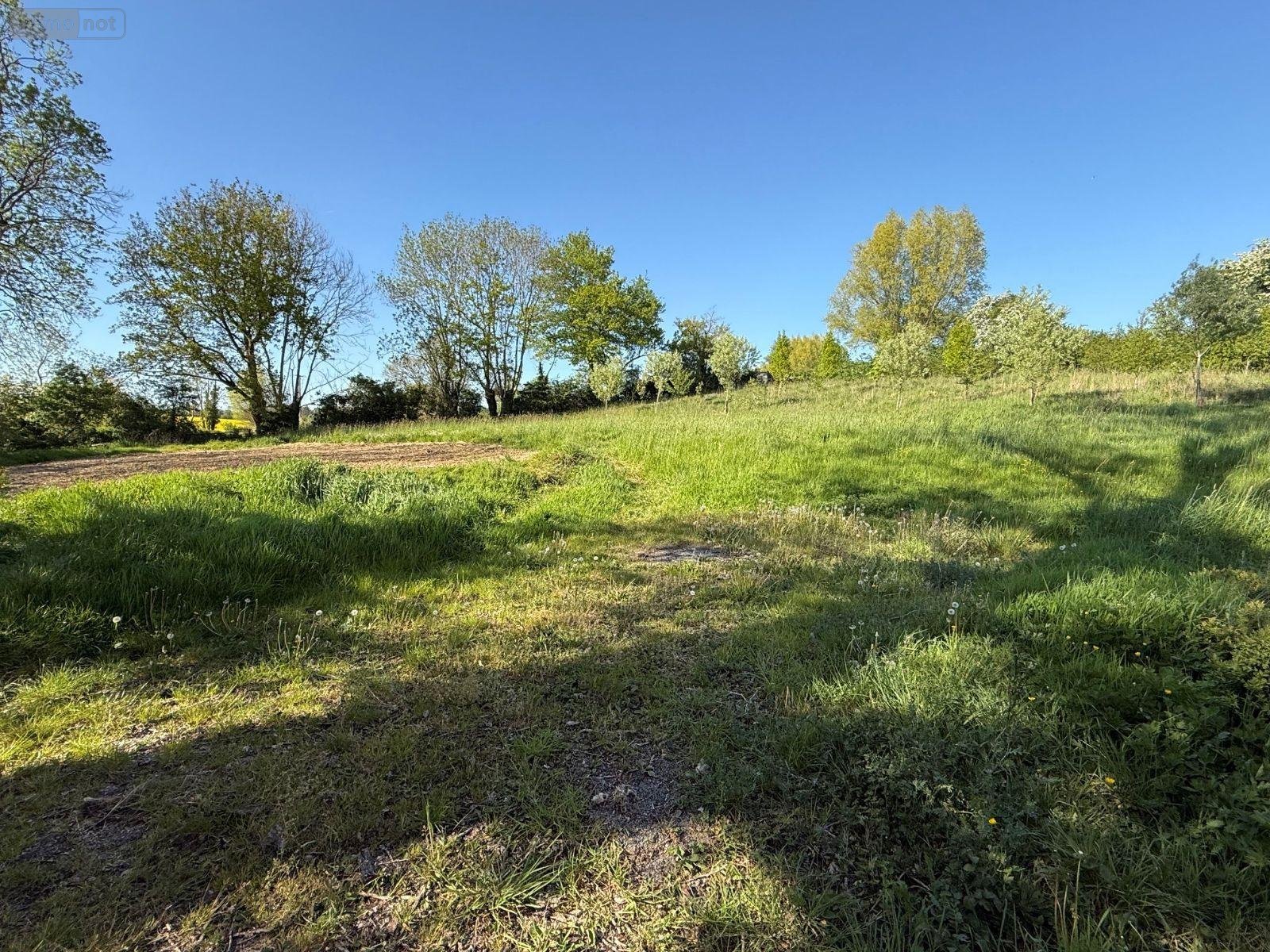 Terrains de loisirs bois etangs a vendre Blaringhem 59173 Nord 3330 m2  12400 euros