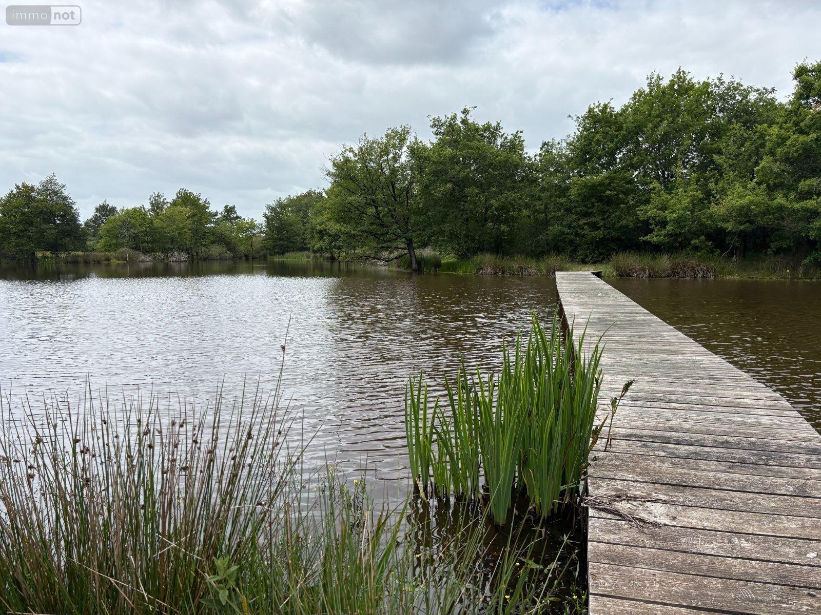 Terrains de loisirs bois etangs a vendre Migné 36800 Indre 160992 m2  546000 euros