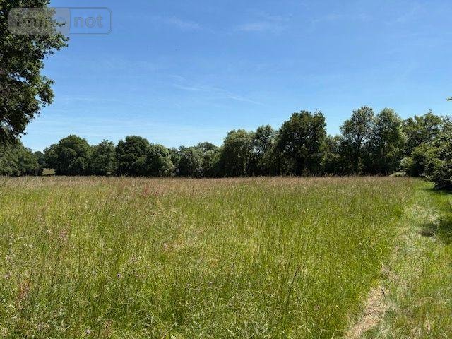 Terrain a batir a vendre Chaillac-sur-Vienne 87200 Haute-Vienne 2672 m2  34629 euros