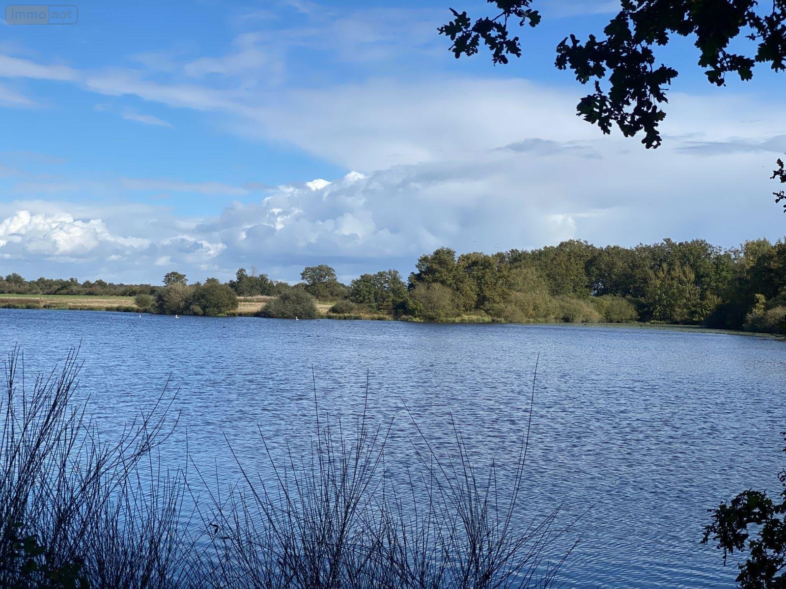 Terrains de loisirs bois etangs a vendre Migné 36800 Indre 74940 m2  149600 euros