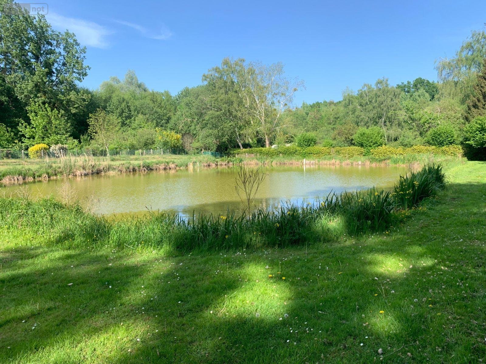 Terrains de loisirs bois etangs a vendre Savigné-l'Évêque 72460 Sarthe 2600 m2  20140 euros