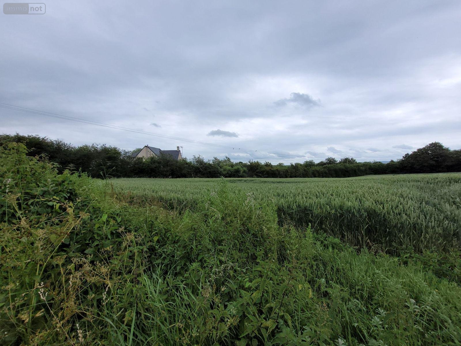 Terrain a batir a vendre Crémarest 62240 Pas-de-Calais 1000 m2  59900 euros