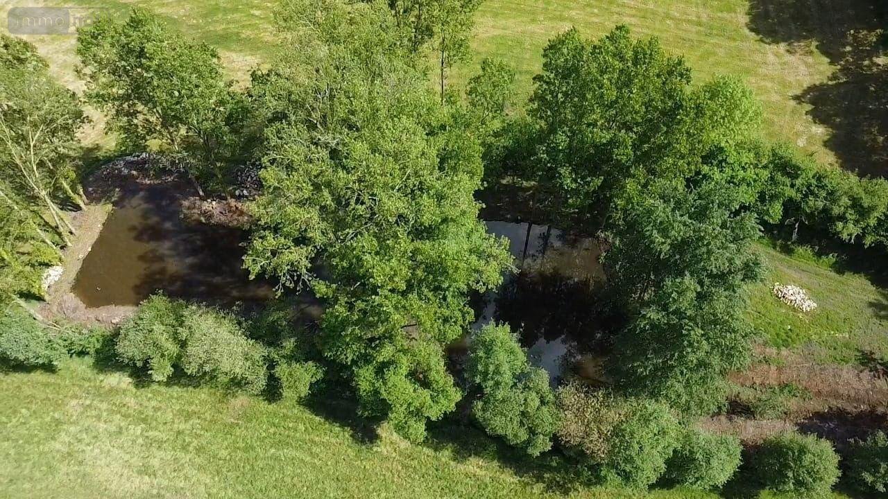 Terrains de loisirs bois etangs a vendre Sainte-Honorine-la-Chardonne 61430 Orne 3572 m2  24400 euros