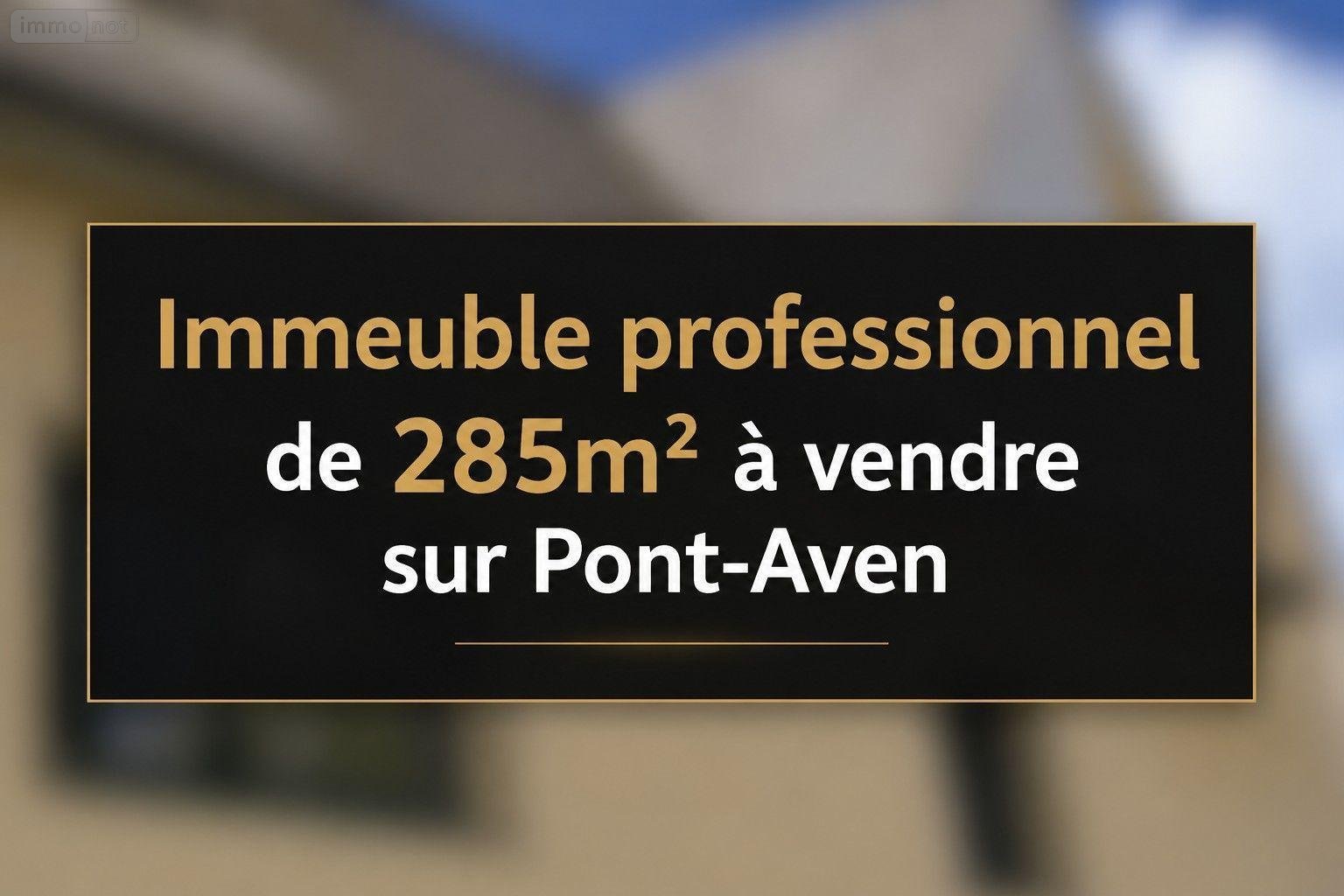 Immeuble a vendre Pont-Aven 29930 Finistère 285 m2  436800 euros