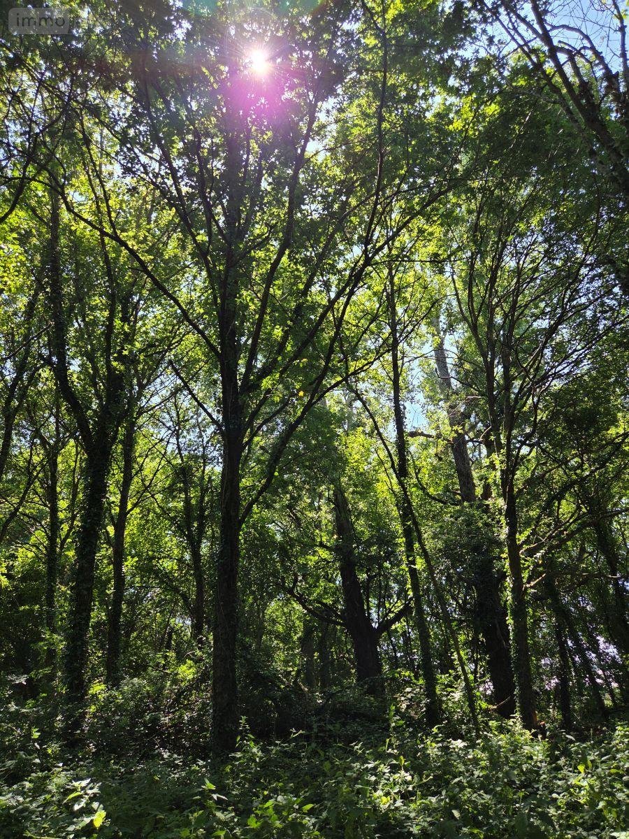 Terrains de loisirs bois etangs a vendre Saint-Léonard-des-Bois 72130 Sarthe 15320 m2  31800 euros