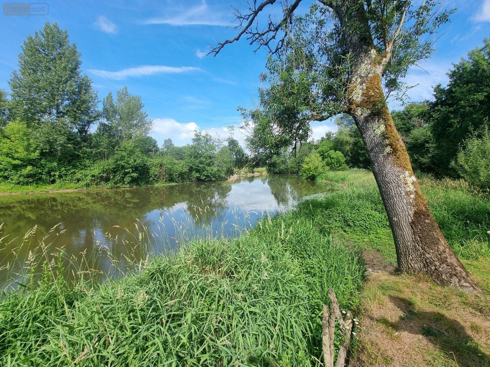 Terrains de loisirs bois etangs a vendre Villeherviers 41200 Loir-et-Cher 7380 m2  13780 euros