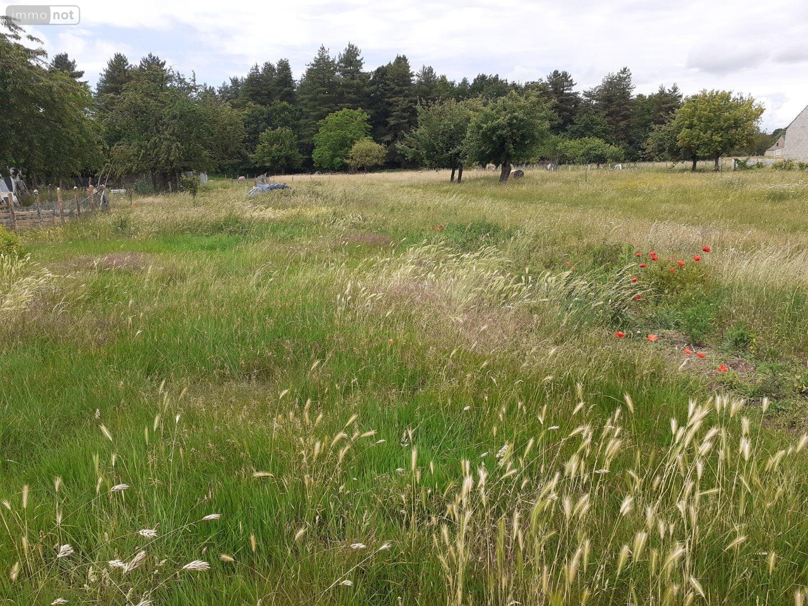Terrain a batir a vendre Écommoy 72220 Sarthe 803 m2  58000 euros