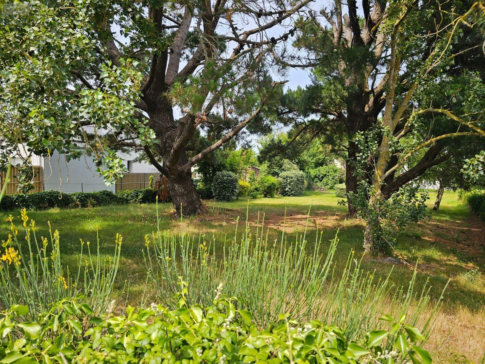 Terrain a batir a vendre Cancale 35260 Ille-et-Vilaine 292 m2  152132 euros