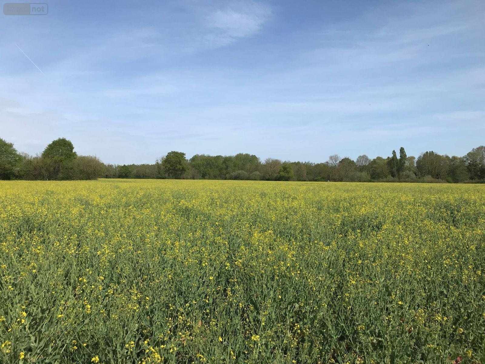 Bien agricole a vendre Torcé-en-Vallée 72110 Sarthe  39960 euros