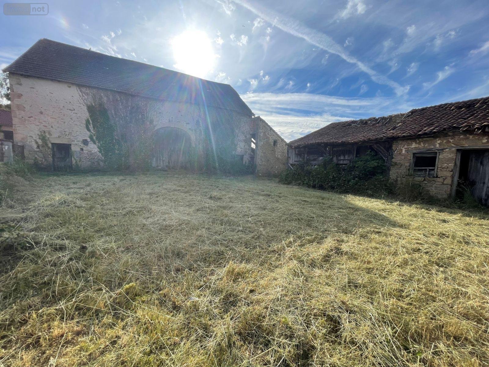 Divers a vendre Bessines-sur-Gartempe 87250 Haute-Vienne  87200 euros
