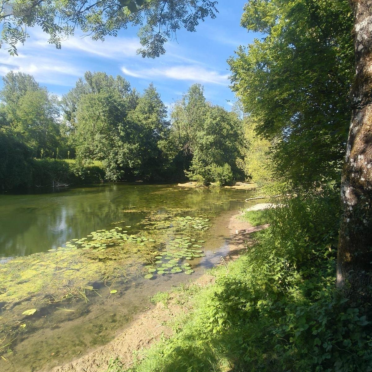Terrains de loisirs bois etangs a vendre Chappes 10260 Aube 2500 m2  23500 euros