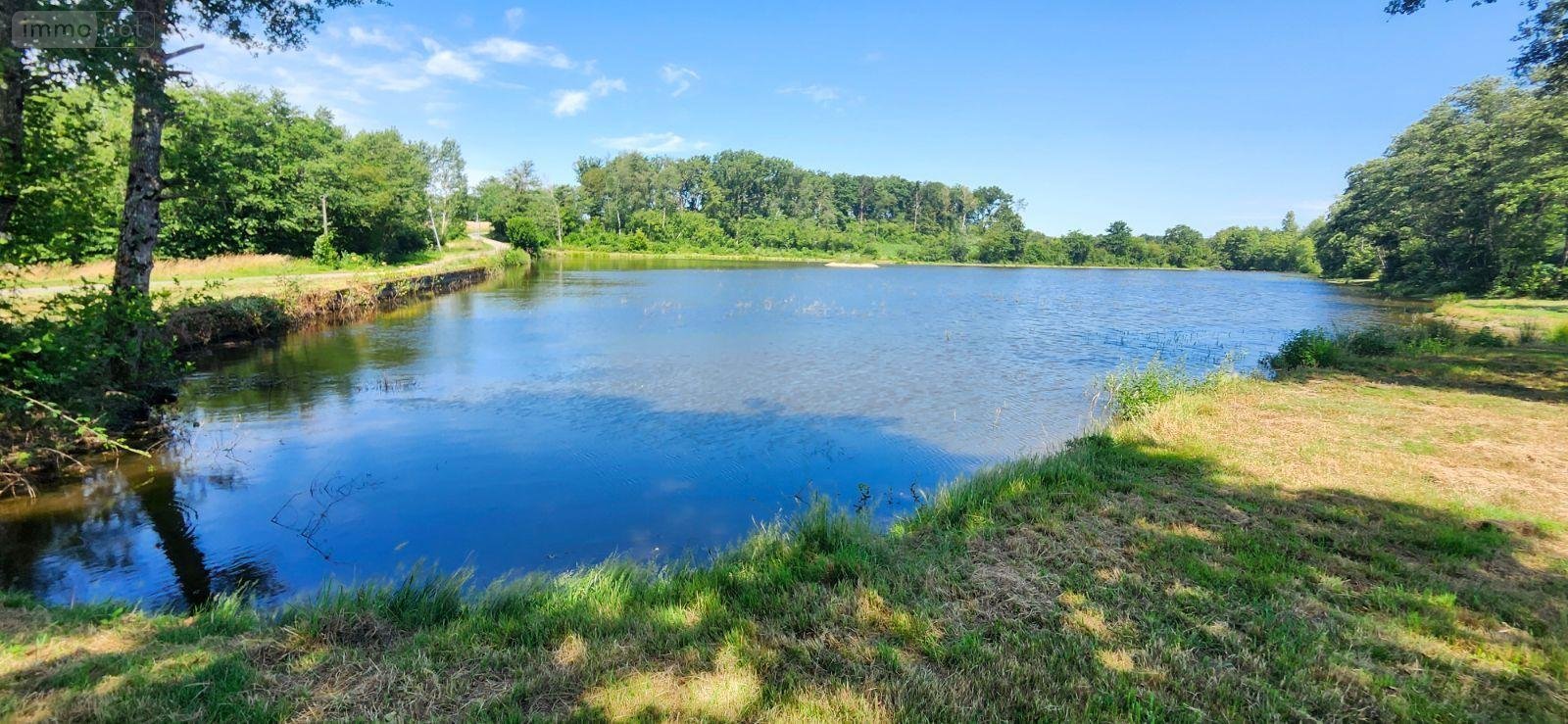 Terrains de loisirs bois etangs a vendre Branges 71500 Saône-et-Loire 36160 m2  110000 euros