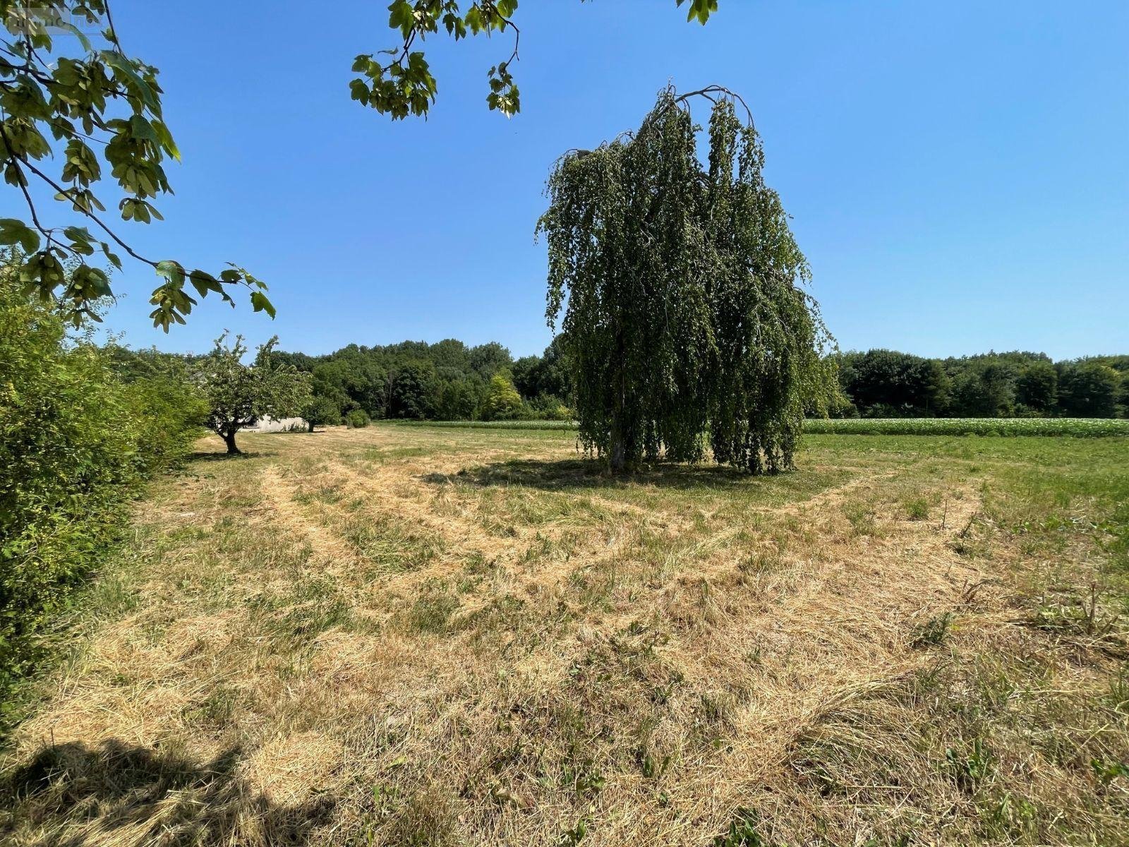 Terrain a batir a vendre Alincourt 08310 Ardennes 1082 m2  39900 euros
