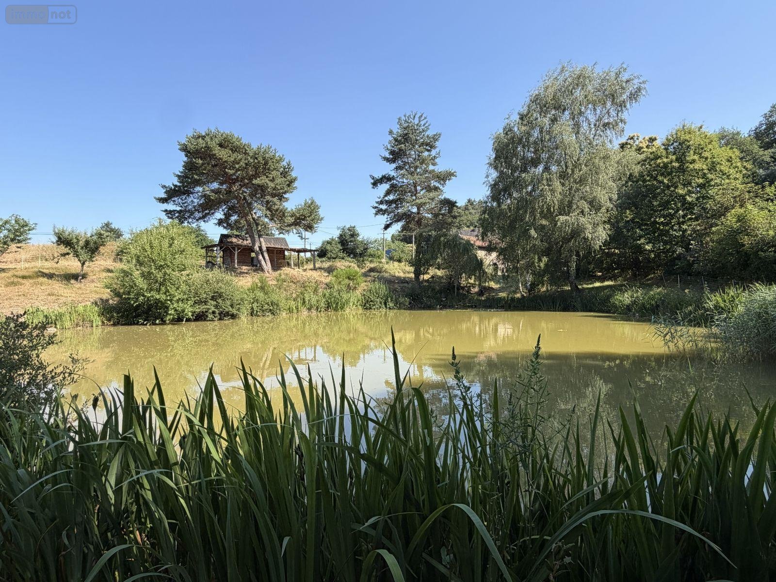 Terrains de loisirs bois etangs a vendre Vitrac 15220 Cantal 9282 m2  148400 euros