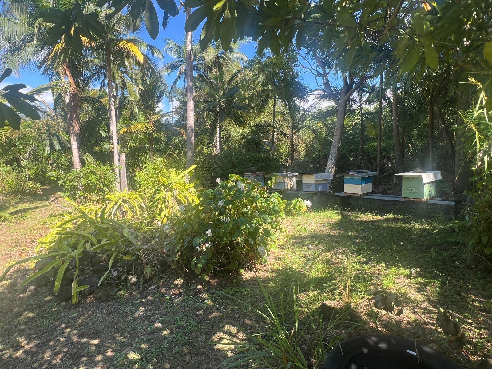 Terrain a batir a vendre Saint-Benoît 97470 Réunion 765 m2  225000 euros