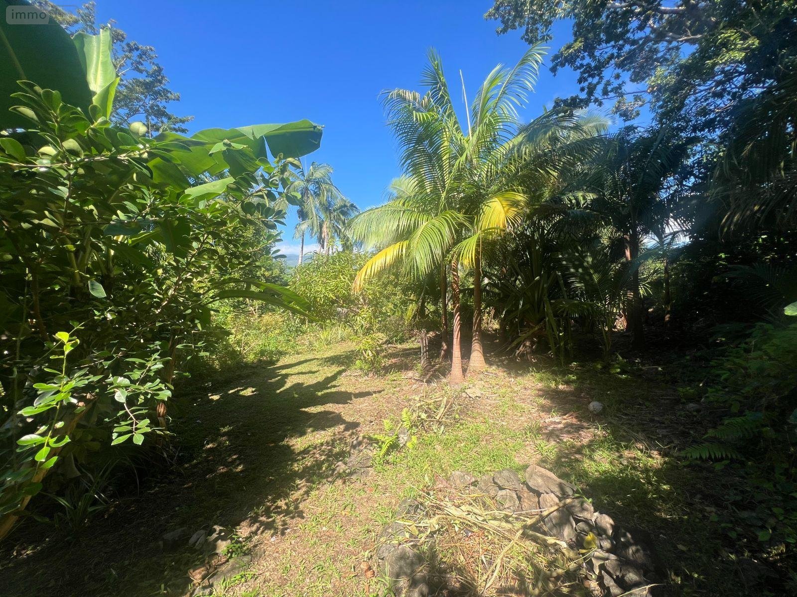 Terrain a batir a vendre Saint-Benoît 97470 Réunion 624 m2  185000 euros