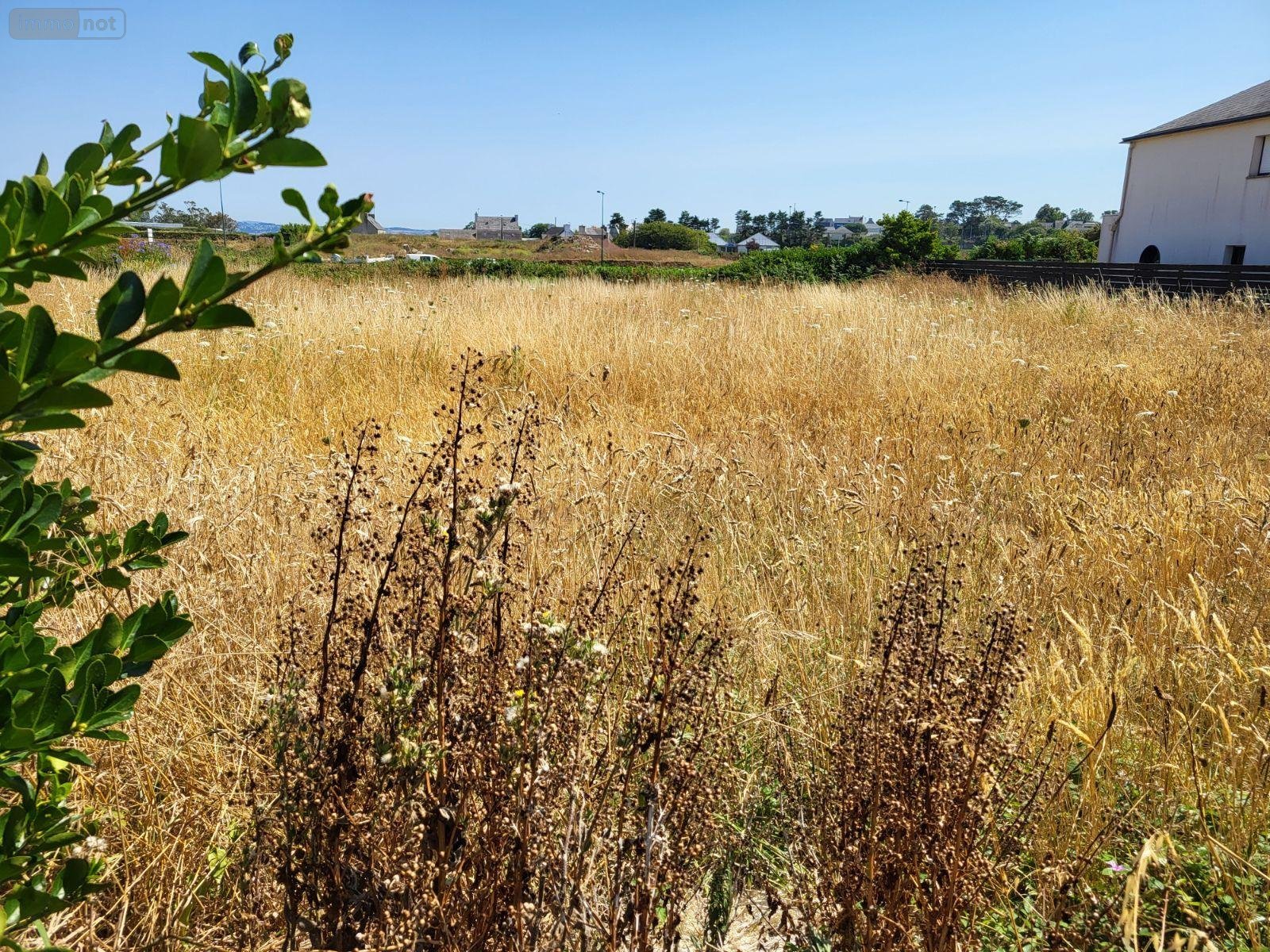 Terrain a batir a vendre Roscoff 29680 Finistère 1040 m2  218240 euros