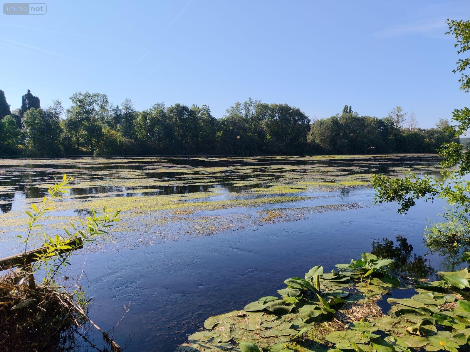 Terrains de loisirs bois etangs a vendre Chauvigny 86300 Vienne 472 m2  3800 euros