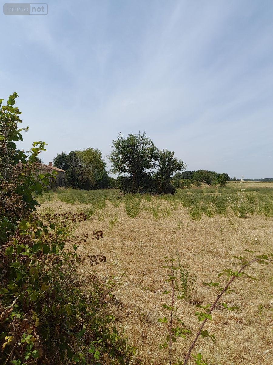 Terrain a batir a vendre Frontenay-sur-Dive 86330 Vienne 2100 m2  11500 euros
