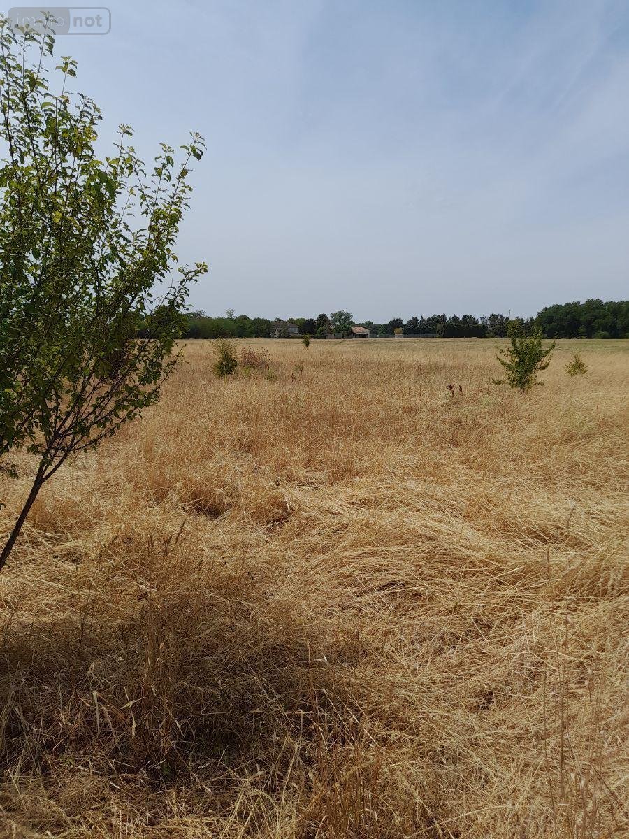 Terrain a batir a vendre Saint-Jean-de-Sauves 86330 Vienne 2000 m2  13000 euros
