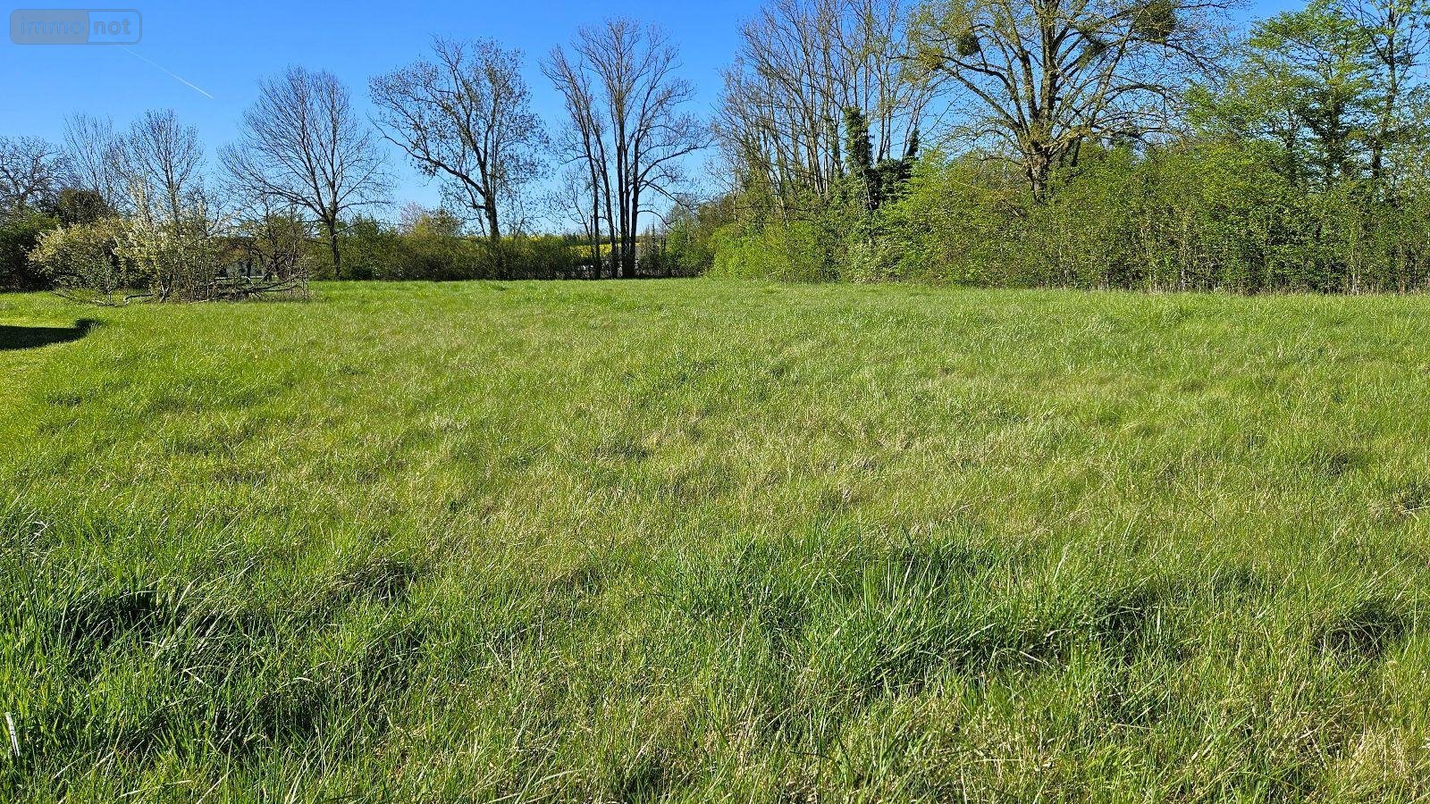 Terrain a batir a vendre Brandonvillers 51290 Marne 5086 m2  28000 euros