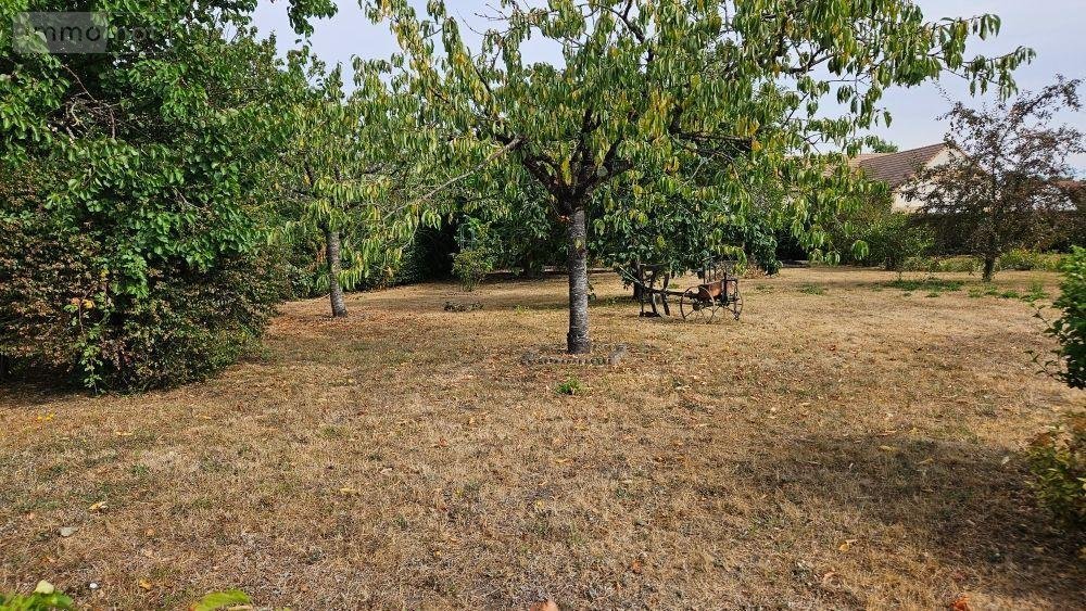 Terrain a batir a vendre La Suze-sur-Sarthe 72210 Sarthe 622 m2  65200 euros