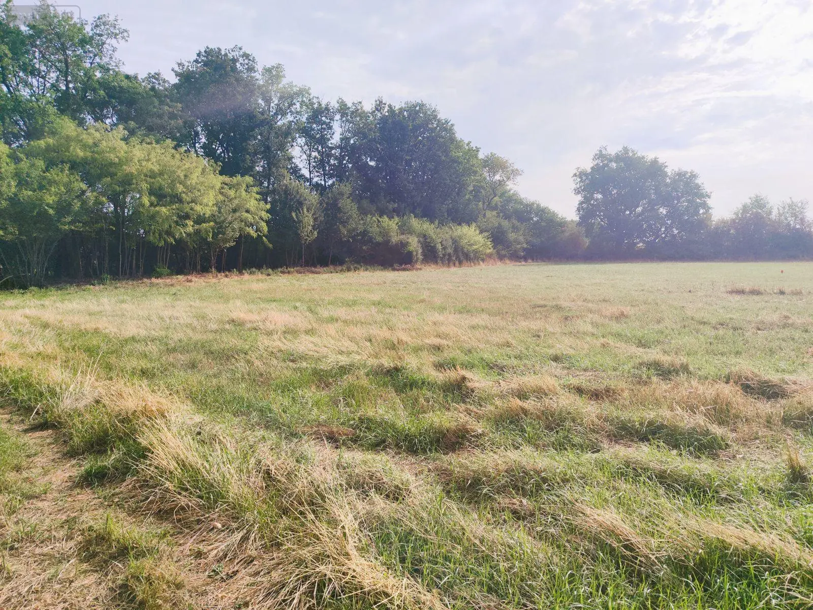 Terrain à bâtir en vente Tercé (86800)