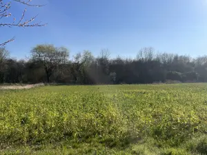 image de bien