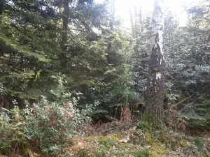 image de bien