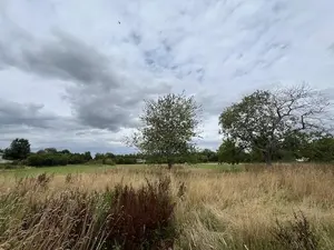 image de bien