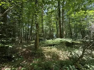 image de bien