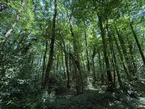 image de bien