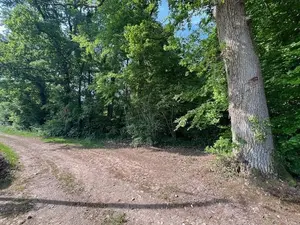 image de bien